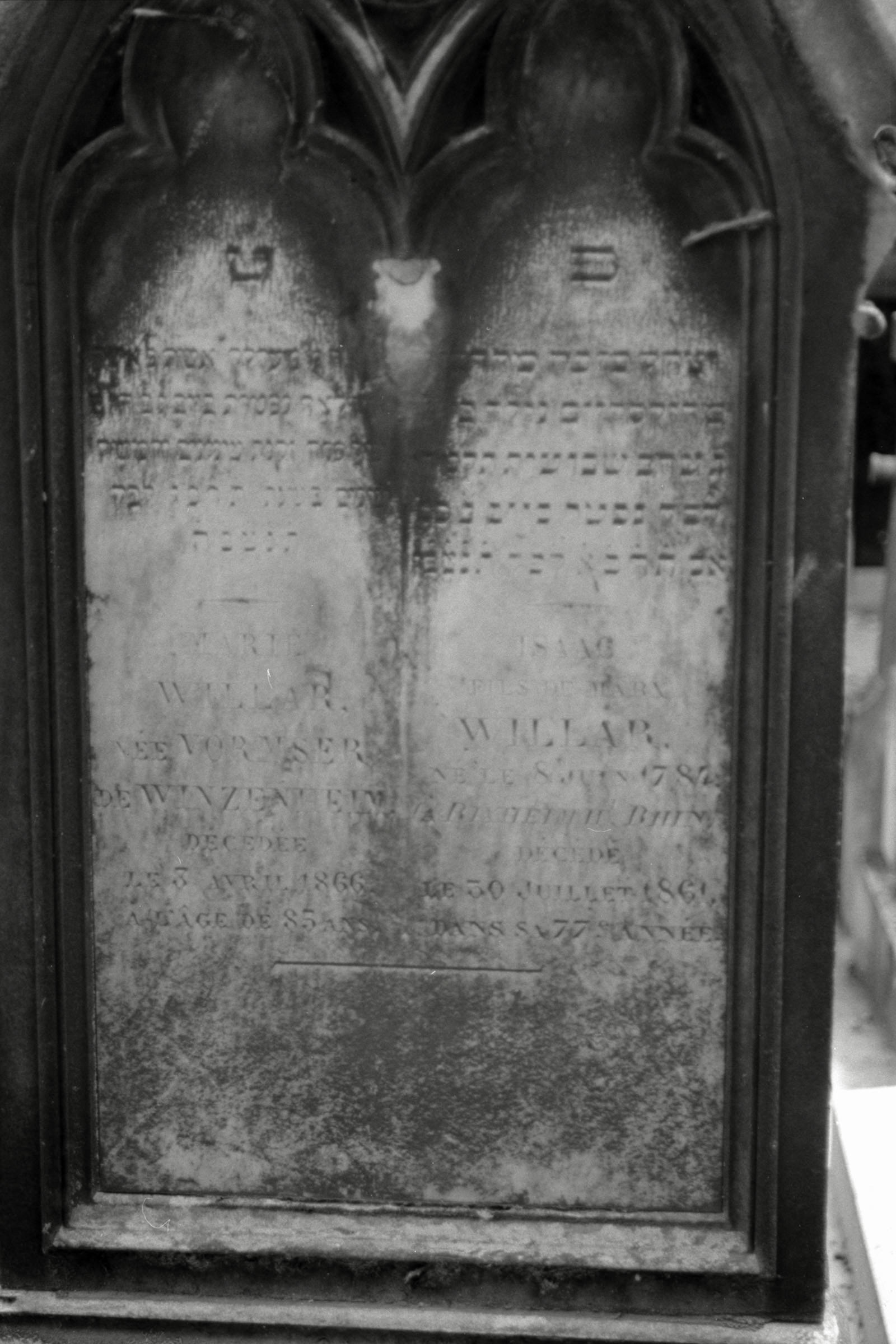 AHP F1990 09 002 sc250506 img31 NLP